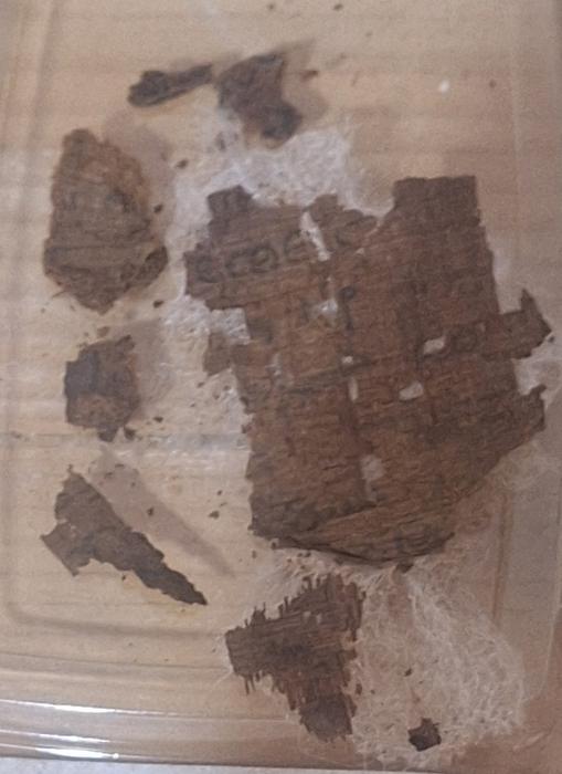 A close up of various brown fragments with writing on them.