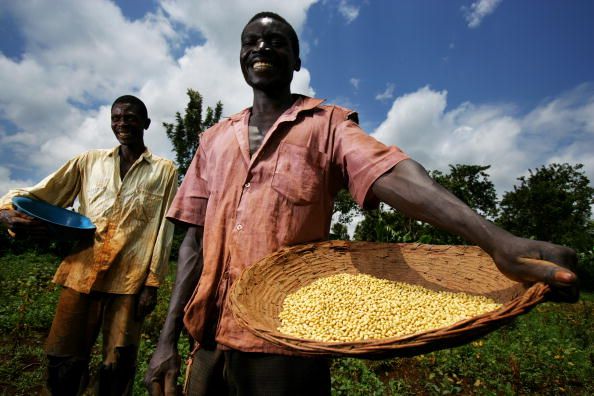 Soy farmers in Kenya