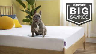 Purple NewDay mattress with Big savings graphic overlaid