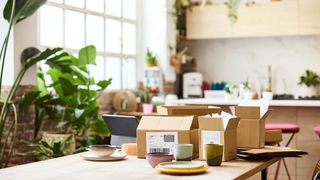 pale wood kitchen with lots of house plants and kitchen table with boxes and laptop