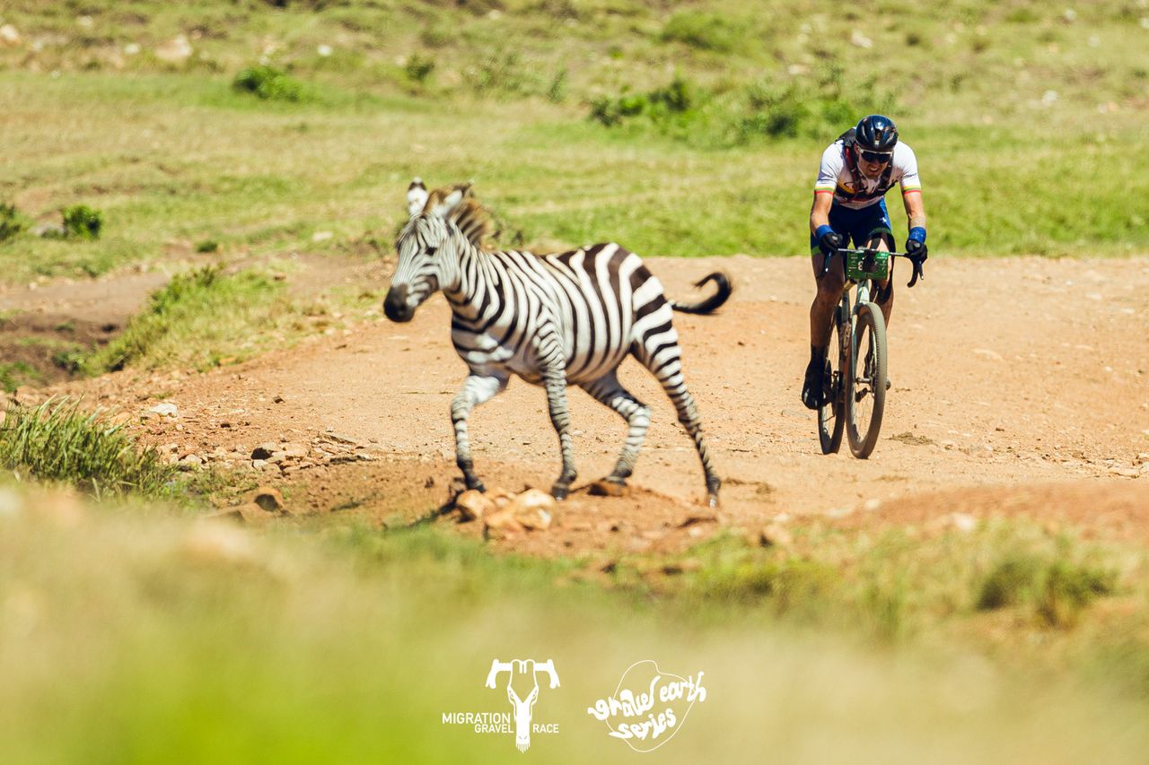A rider encounters a zebra on stage 4