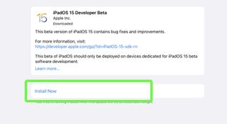 iPadOS 15 beta developer step 17 — tap install now