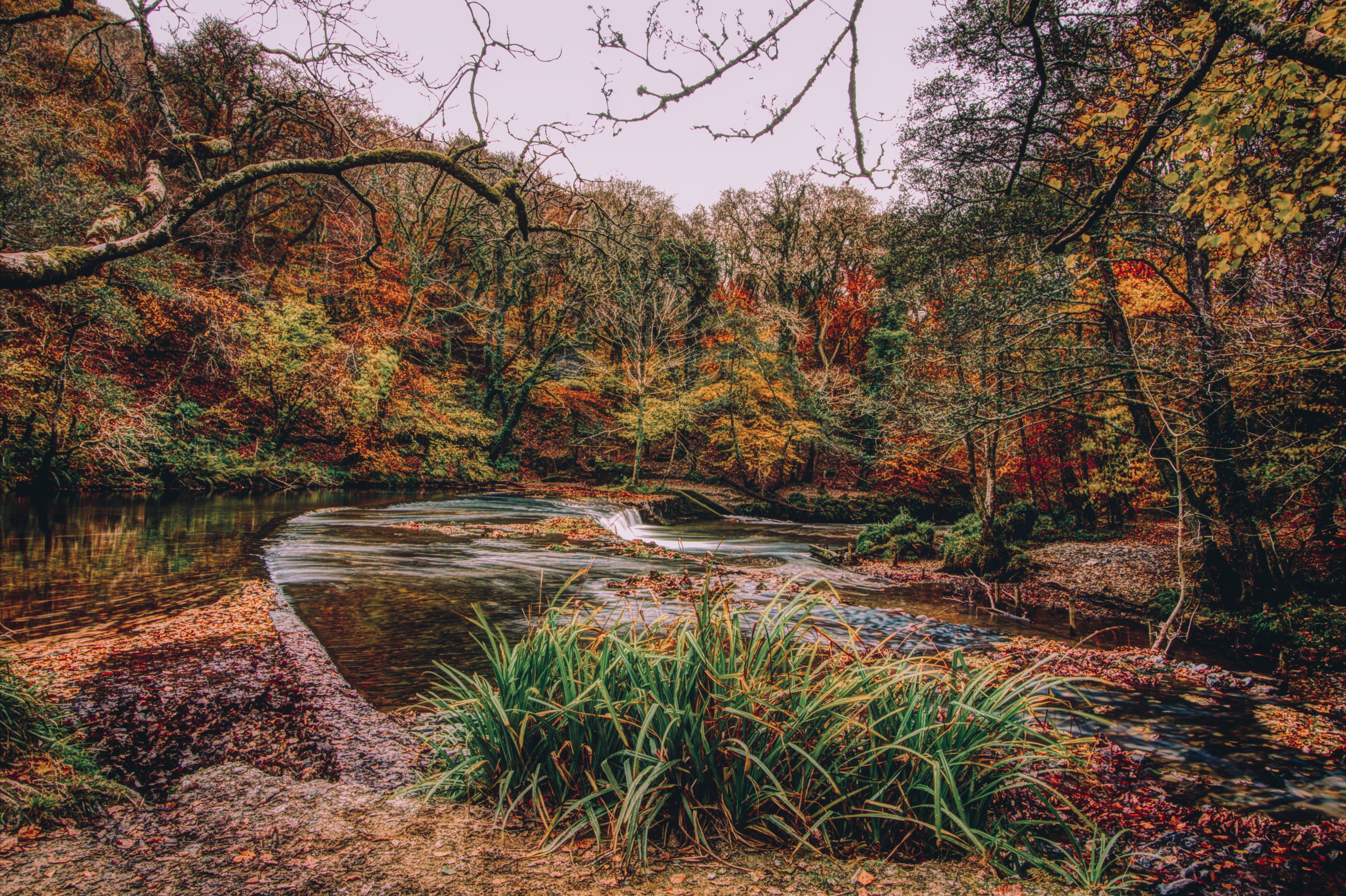 GuruShots - Vivid Landscapes March 2026