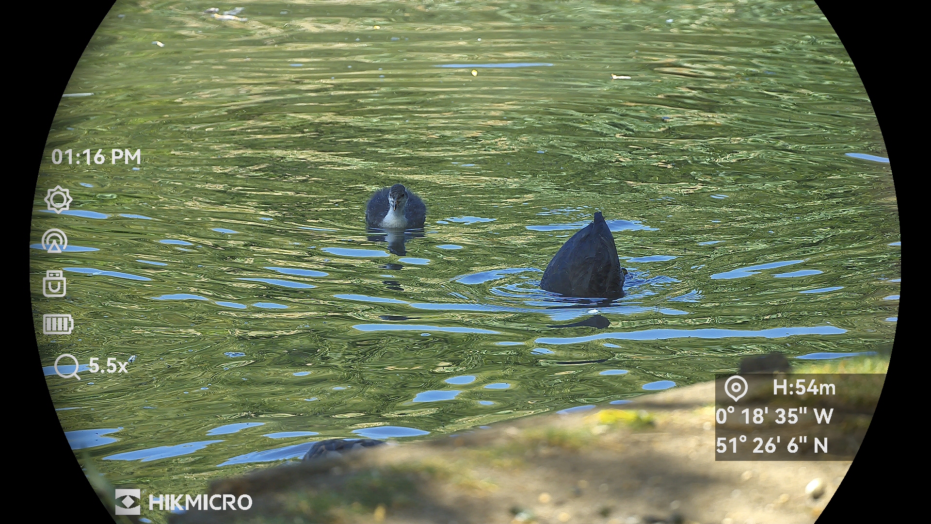 Images taken through a pair of HikMicro Habrok 4K HE25L binoculars
