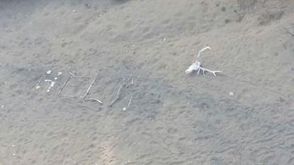 Ann Rodgers spelled out "HELP" with sticks and rocks.