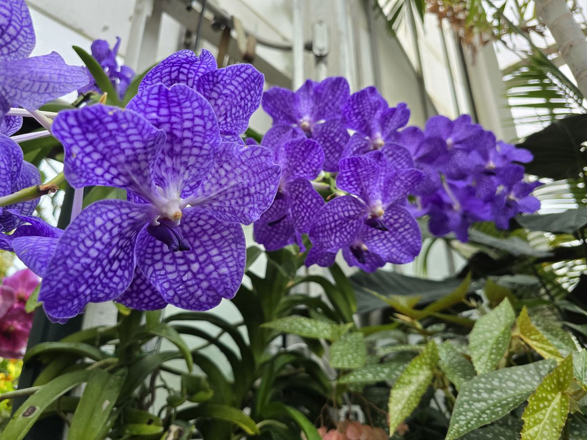 A camera sample from the main sensor of the Samsung Galaxy S24 Ultra