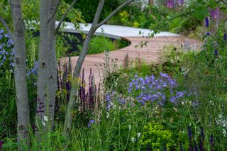 curved decked path in the cancer research uk legacy garden by tom simpson for hampton court 2021