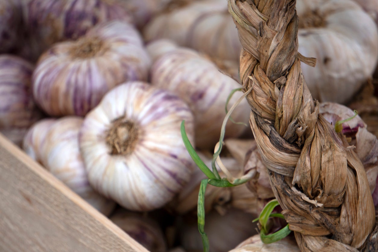 Purple Garlic with French top Copper pan