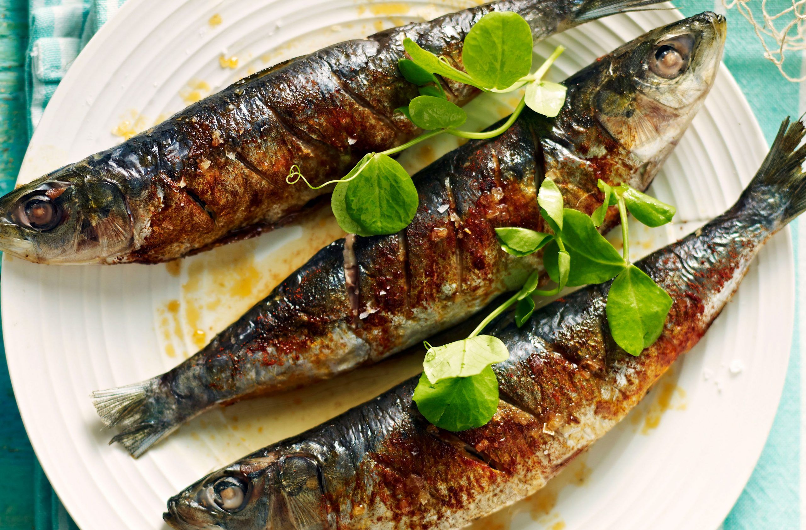 Sardines with fennel and orange salad recipe