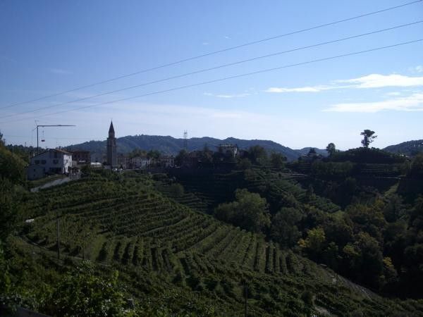 The village of Rolle sits right in the middle of some of the best vineyards in the world