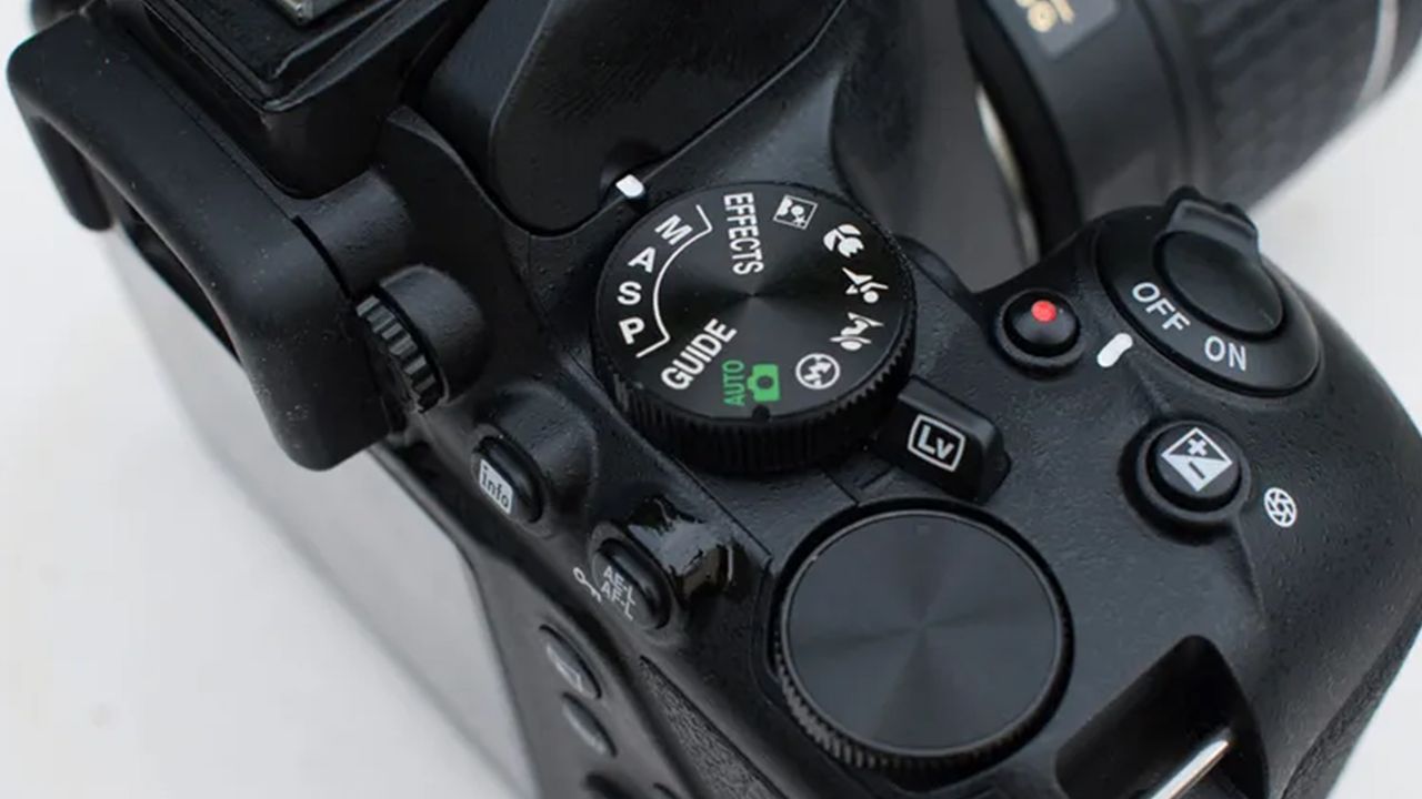 Review photo of the Nikon D3500
