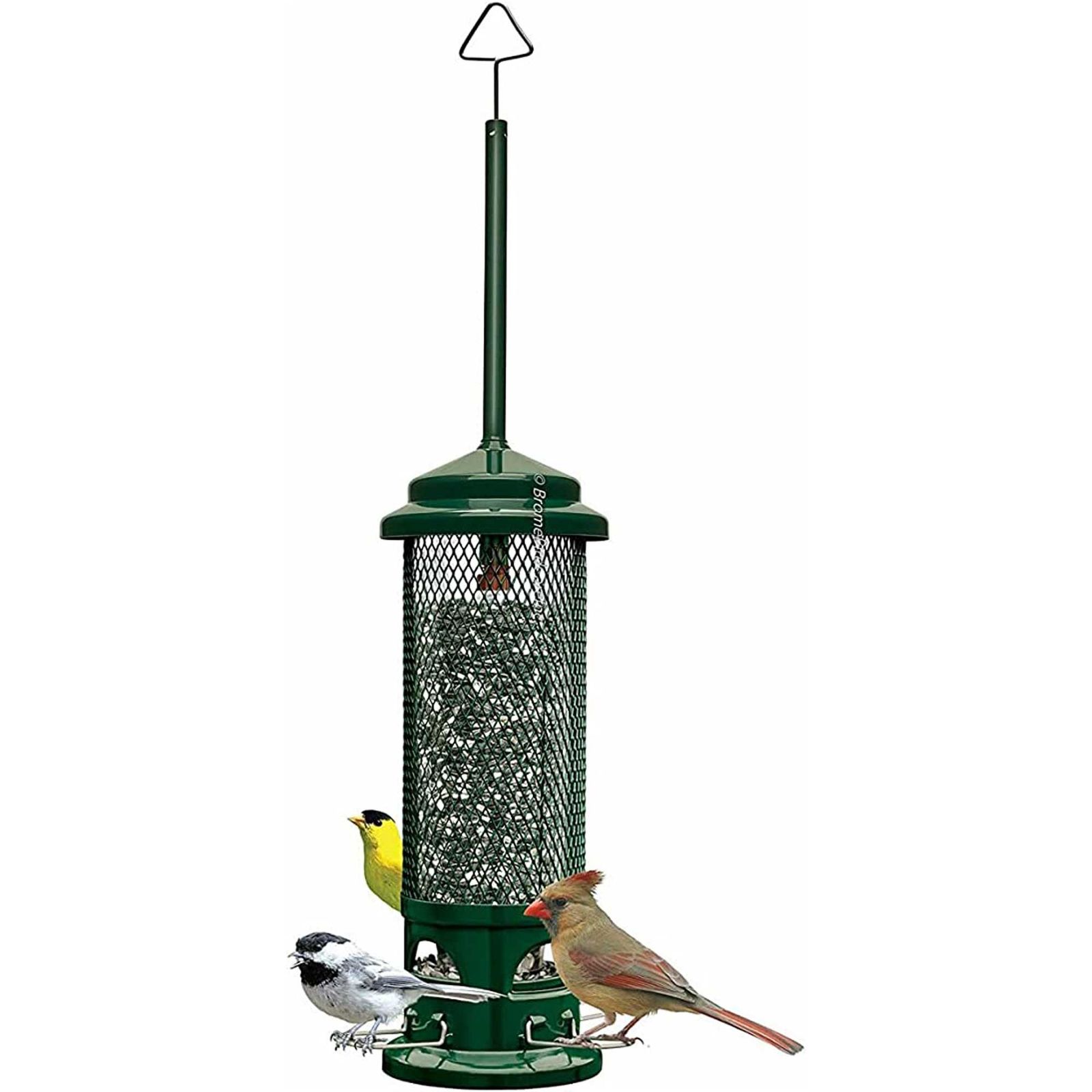 How to keep squirrels away from bird feeders: 5 expert tips