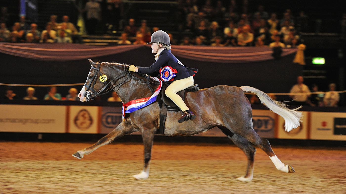 HorseNo1410_HOYS11pn3533.jpg