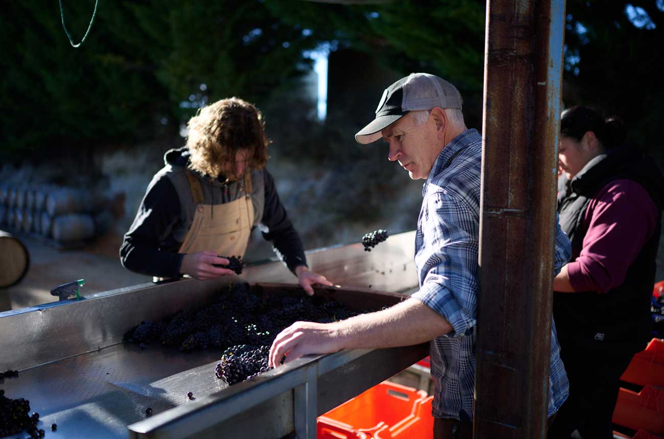 Sorting table at Rippon Vineyard Central Otago