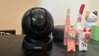 A pet camera on a surface next to three figurines of cats
