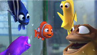   Finding Nemo
