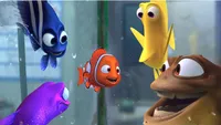   Finding Nemo