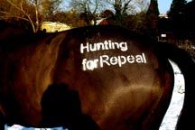Hunting_for_repeal_2.jpg