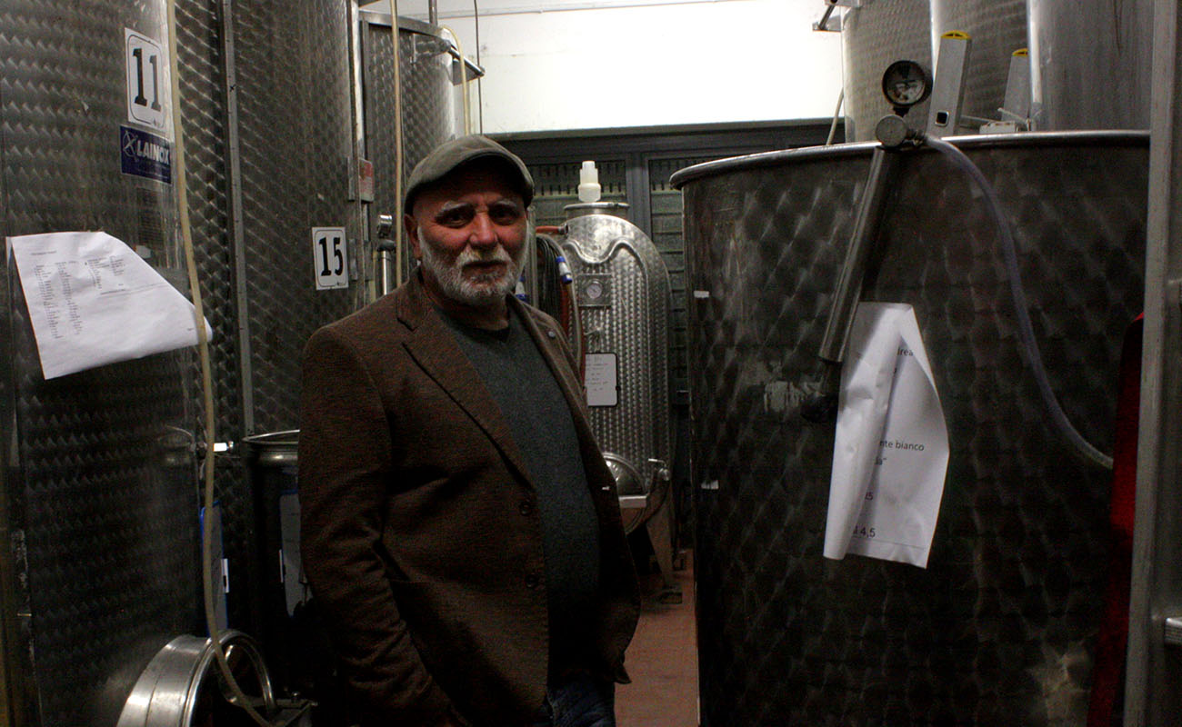 Andrea Marcesini La Felce