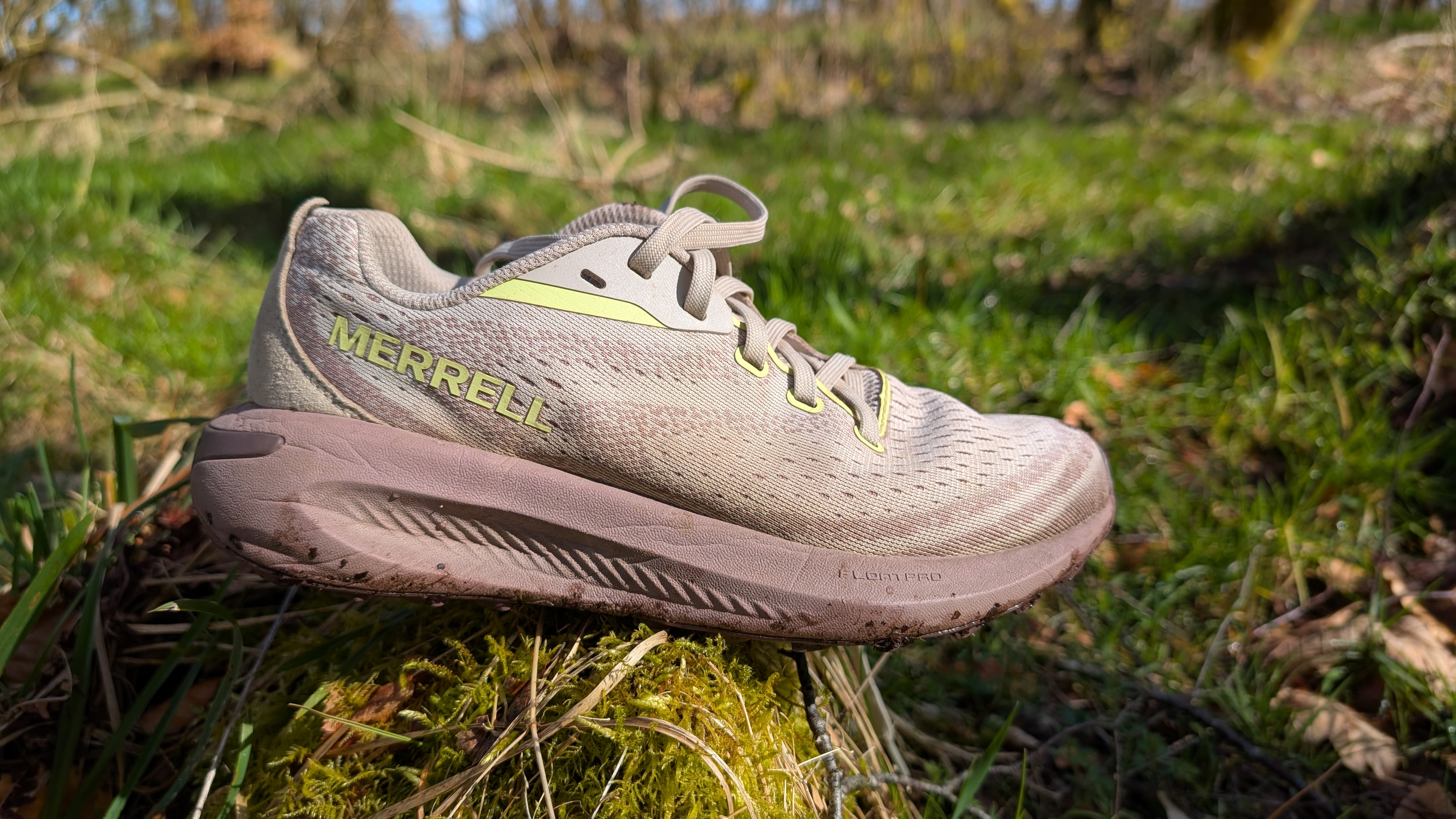 Merrell Morphlite trail running shoe sitting on a grassy log