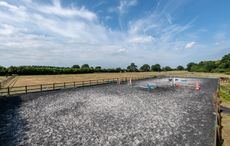 Lodge-Farm.Little-Henny-55.jpg