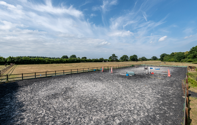 Lodge-Farm.Little-Henny-55.jpg