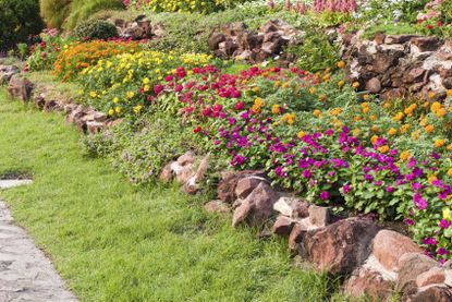 flower weed control