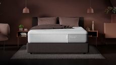 Casper mattress sales