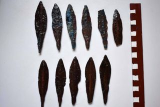 a collection of long, black arrowheads