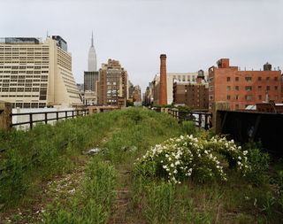 a wild, self-seeded habitat, which inspired its transformation into a park. Photographed at 30th Street on a morning in May, 2000