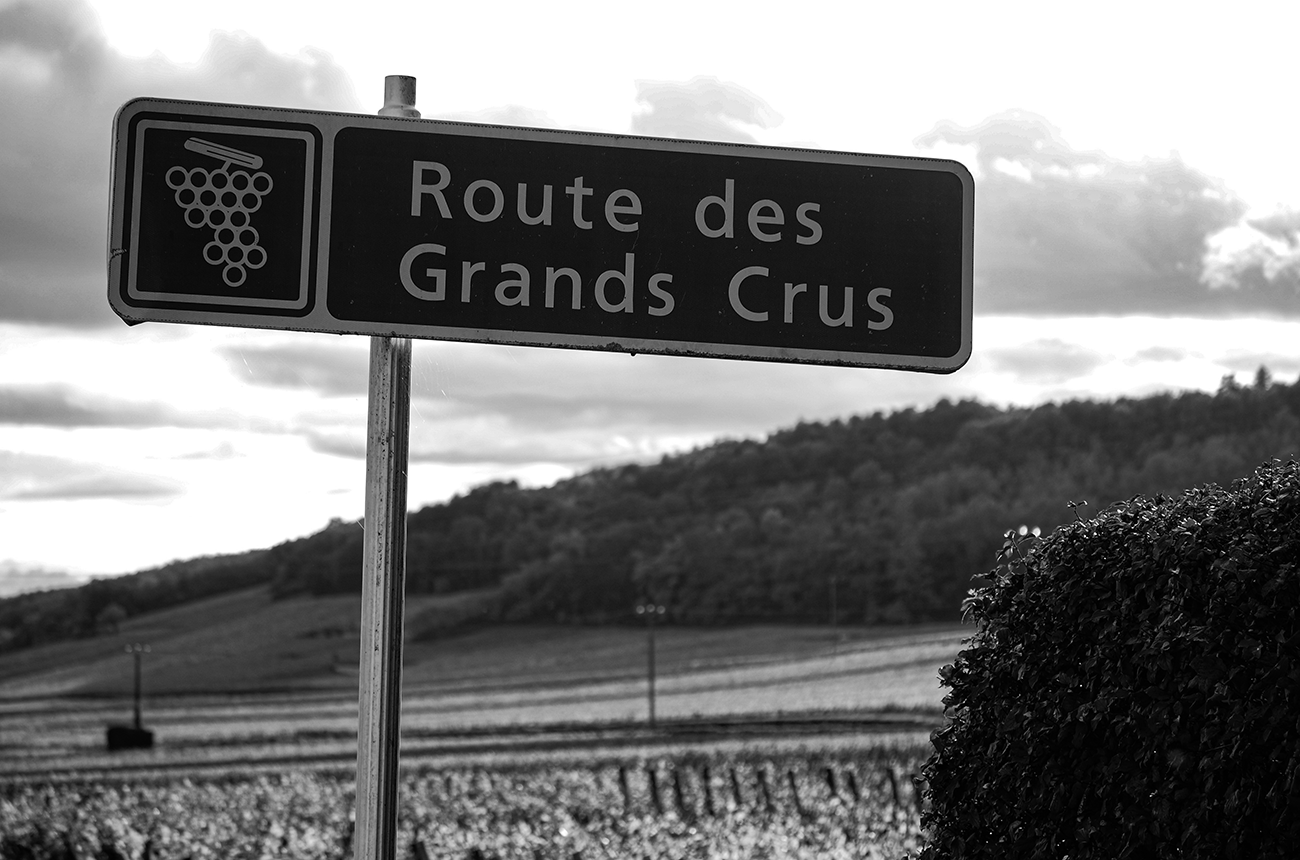 Gevrey-Chambertin 2024