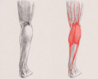 how to draw legs - leg sketches 