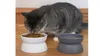 Kitty City Raised Cat Food Bowl Collection