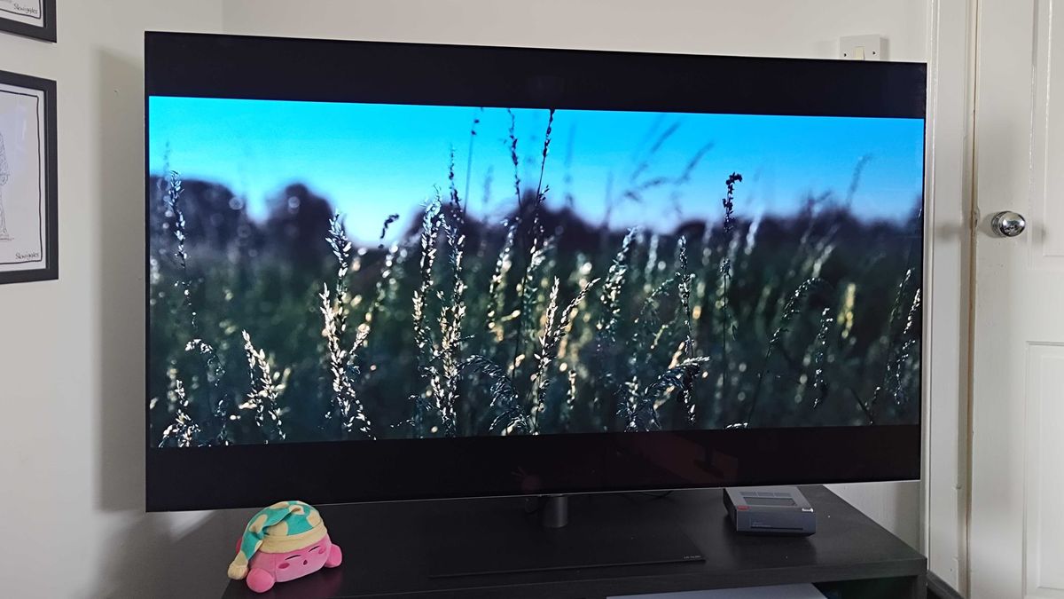 LG OLED G4 with Prey scene on screen featuring closeup shot of long grass