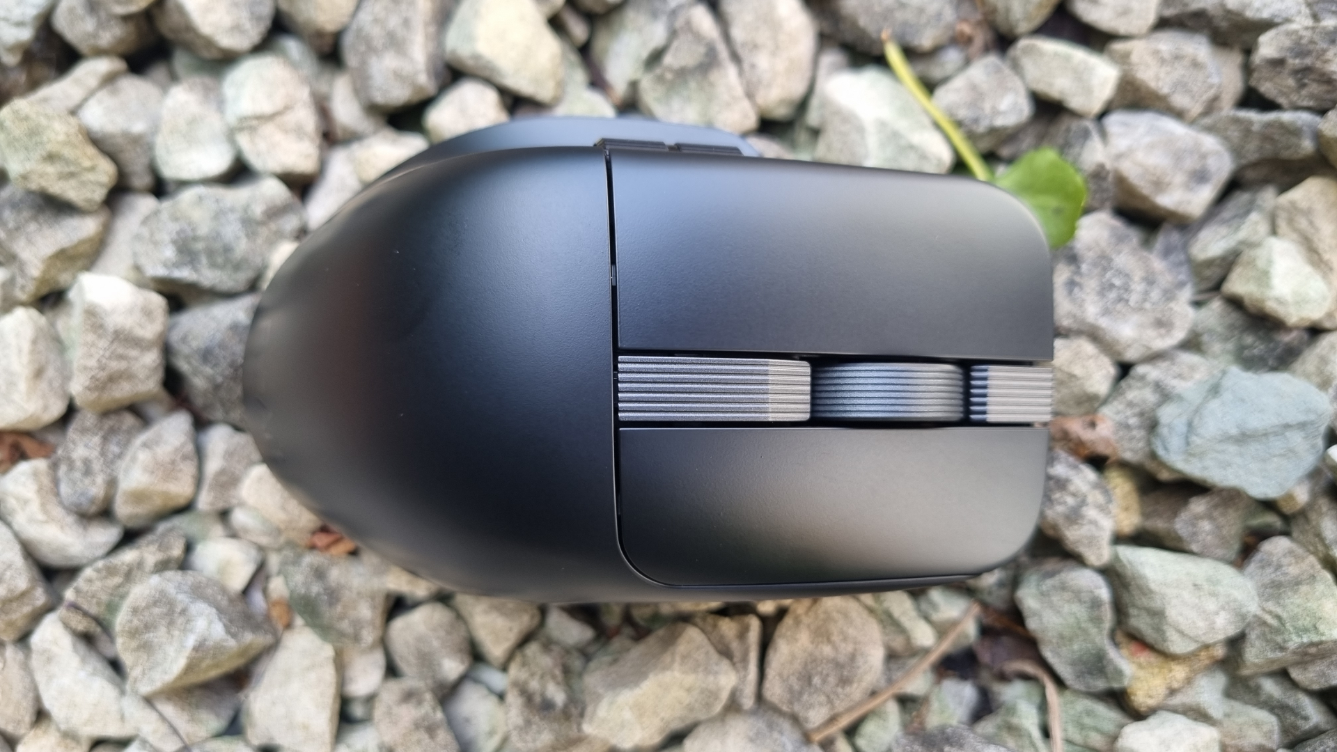 An Asus ProArt MD301 mouse shot from above, sitting horizontally in the frame on top of white gravel