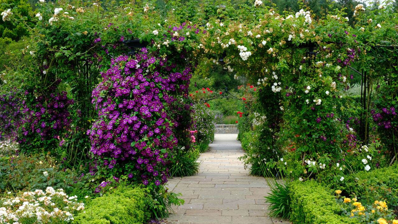 english garden ideas with arbour flowering climbers and evergreen hedging 