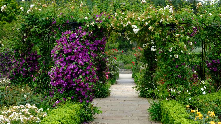 english garden ideas with arbour flowering climbers and evergreen hedging 