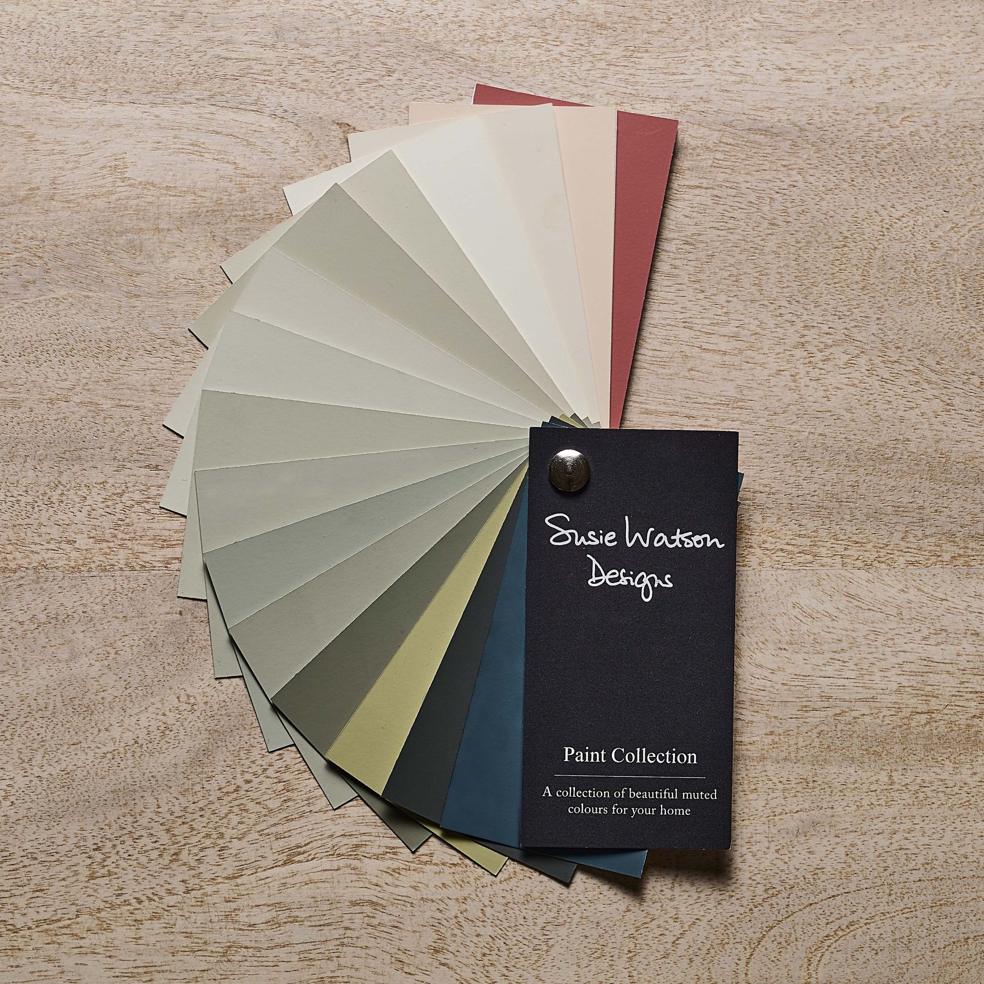 A Susie Watson paint colour wheel splayed out on a wooden floor