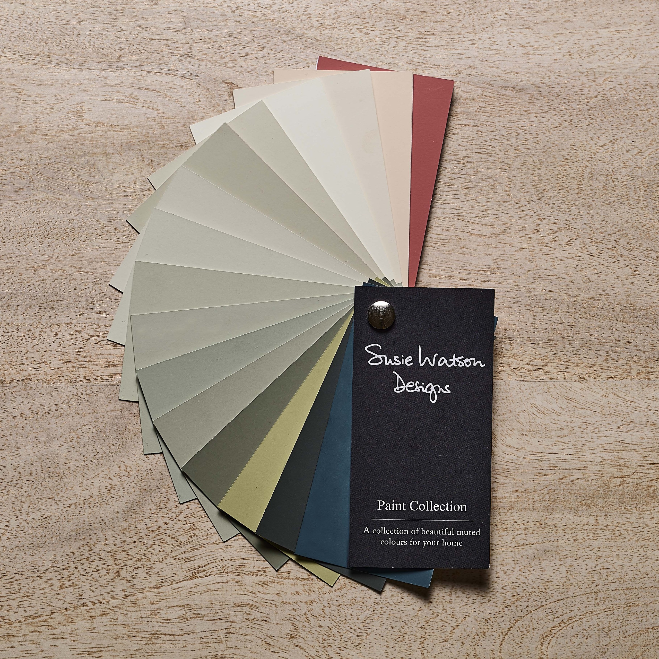 A Susie Watson paint colour wheel splayed out on a wooden floor