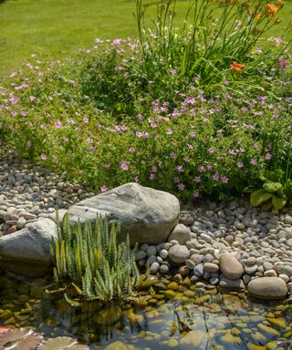 small natural pond with pebbles