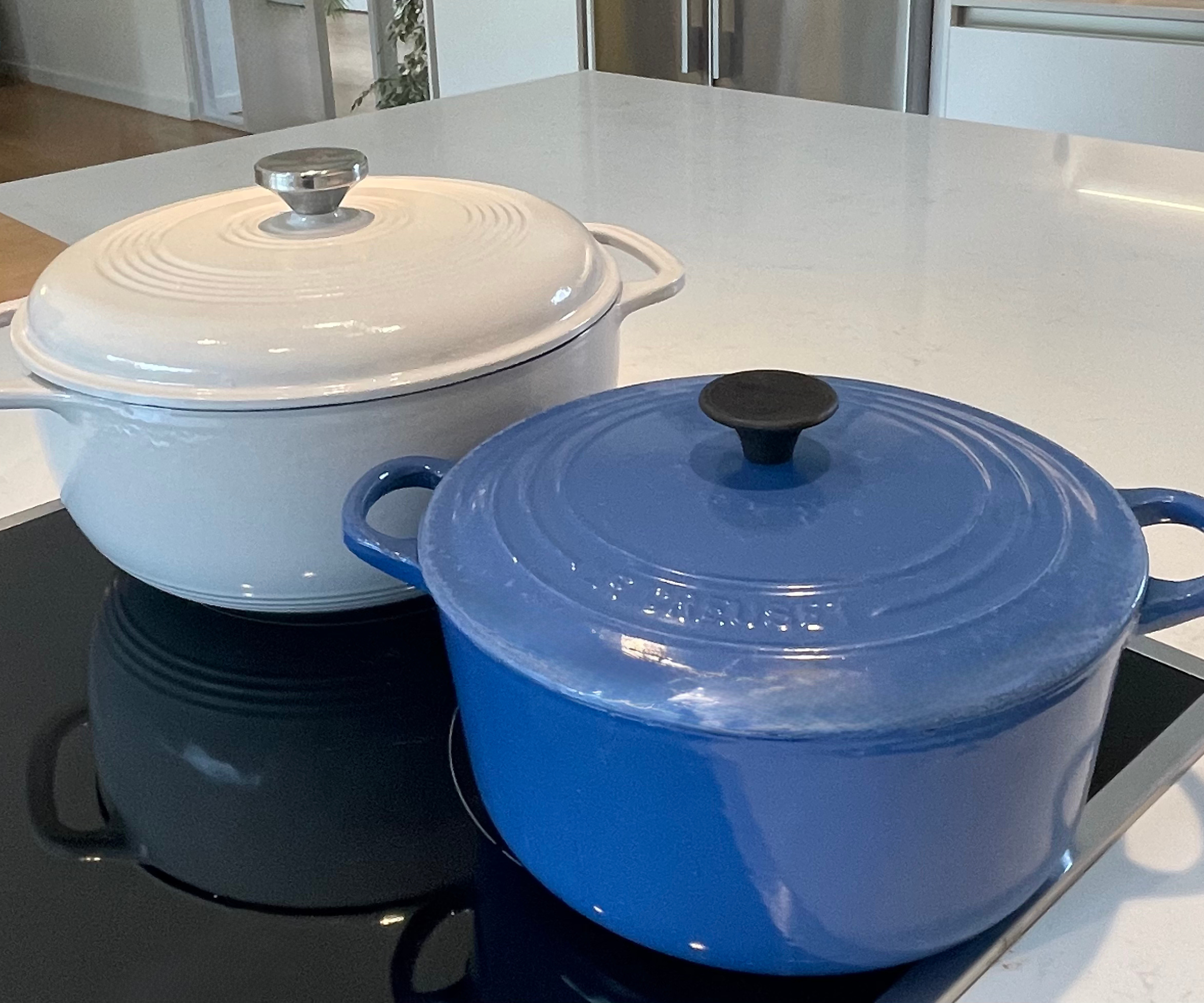 A Lodge Dutch oven next to my 30 year old Le Creuset