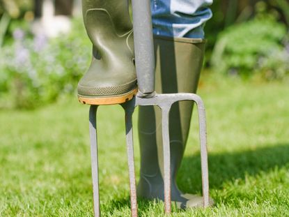 Gardener In Rubber Boots Aerating The Lawn