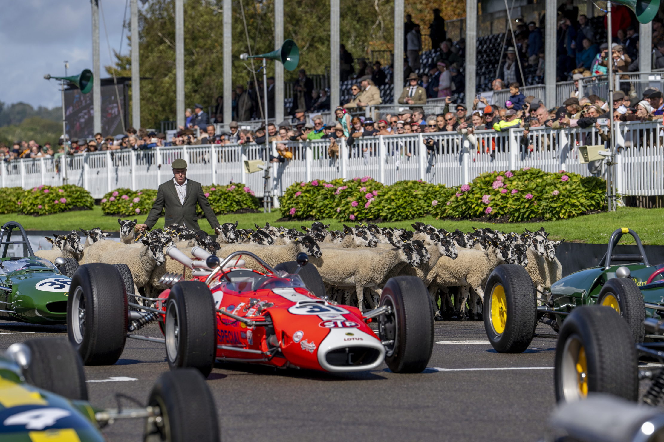 Images from this year's Goodwood Revival