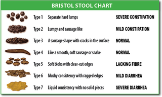 the Bristol Stool chart for constipation