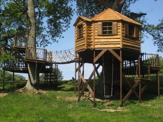 treehouse ideas: treehouse with ladder