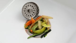 A kitchen sink with a garbage disposal filled with vegetable peelings