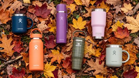 Selection of Yeti, Stanley and Hydroflask mugs and bottles on a background of fallen leaves