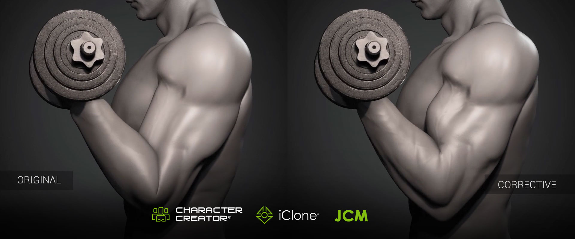 Reallusion software in use