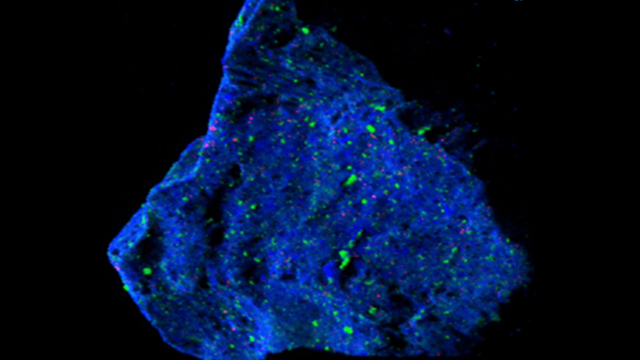 A blue rock with lime green dots all over it sits in front of a dark background