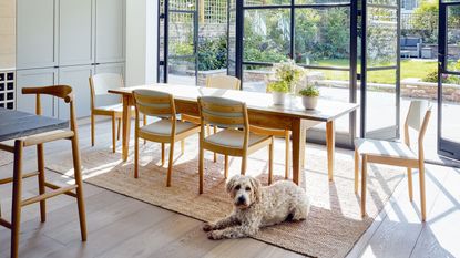 dining area with table, chairs and dog
